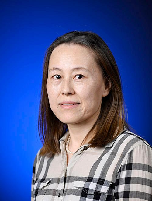 Jin Zhang
