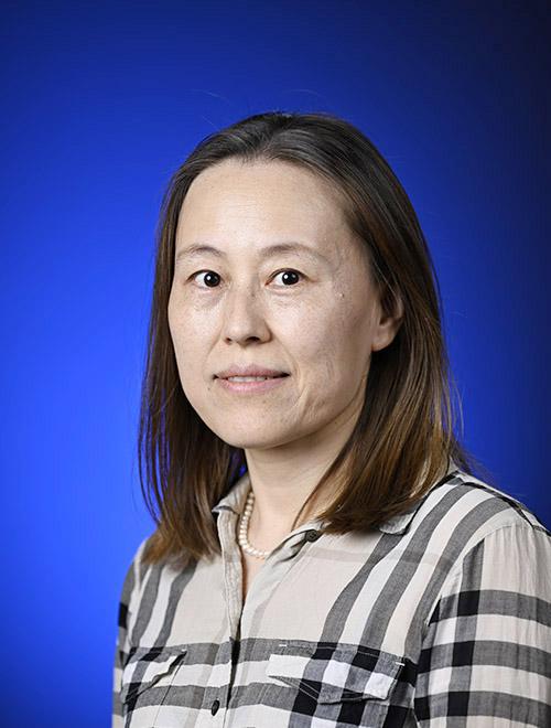 Jin Zhang