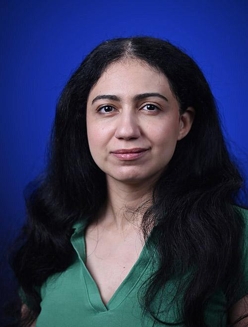 Alaa Elshawaf