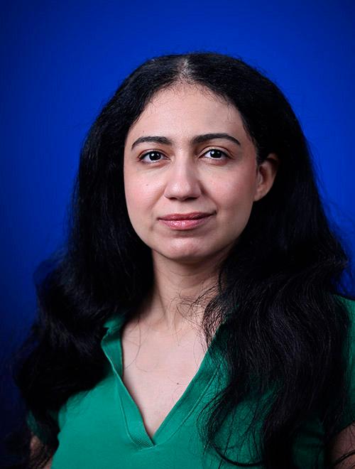 Alaa Elshawaf